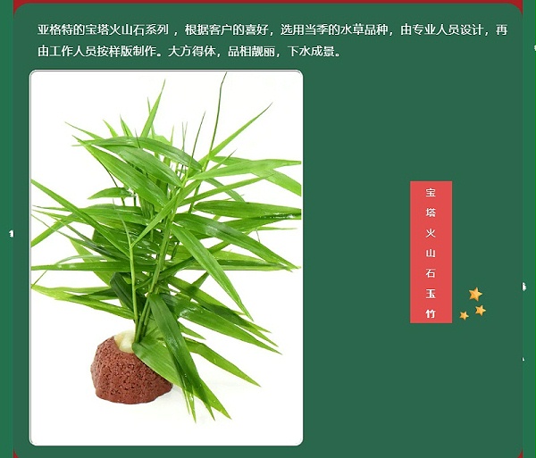 亚格特精品：宝塔火山石水草系列_03