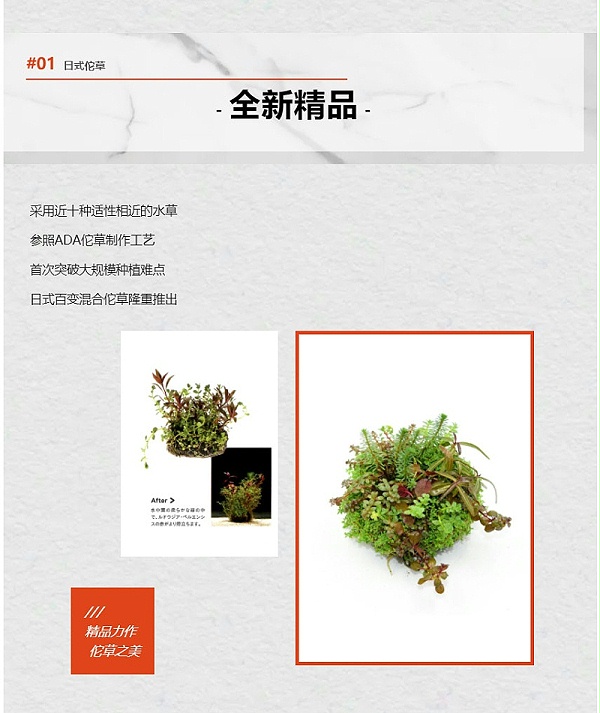 亚格特新品，日式百变混合佗草，上市了！！！_03