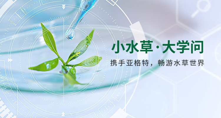 亚格特-小水草·大学问 携手亚格特,畅游水草世界